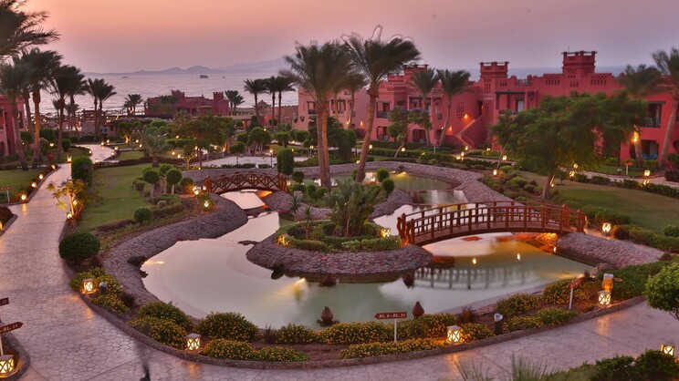 Charmillion Sea Life